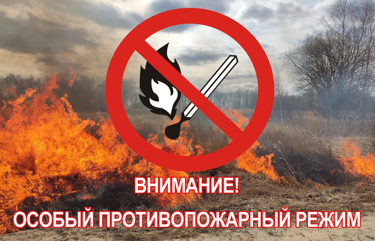 С 5 апреля 2023 года на территории Курганской области, в том числе Лебяжьевского МО, введен особый противопожарный режим.